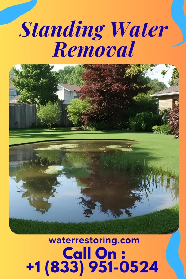 Standing Water Removal in Western Grove, AR